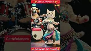 cute cat belly dance😺💃 #cat #cats #catdance#shorts #shortsfeed#dancingcat #catvideos#funny#realfools