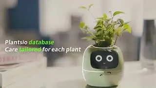Smart Plant Case -  Ivey Smart Plant Case!