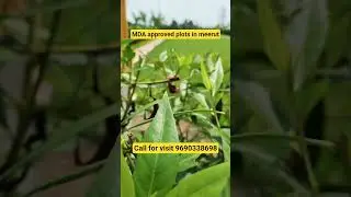 MDA approved plots in meerut