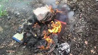 Ритуальная казнь вредоносной литературы