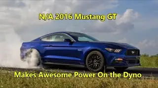 2016 Mustang Gt N/A Makes Surprising power On the Dyno
