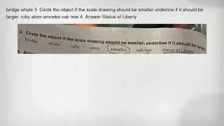 bridge whale 3. Circle the object if the scale drawing should be smaller underline if it should be l