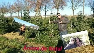 Tradição da Arvore de Natal na Alemanha