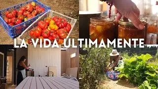 Febrero es un Popurrí | Huerta, Construcción y Comida