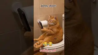 cute cat funny comedy shorts video 😂 #ytshorts #comedy Shorts#pets#animals #funny#shortsfeed #cat 🤣
