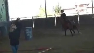 Colombini Rachele 1° class NOVICE YOUTH