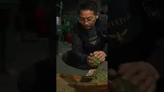 茶师坦白：芽头一天只采2两！最嫩春茶有多难？#春茶上市 #新农人计划2026 #乡村生活