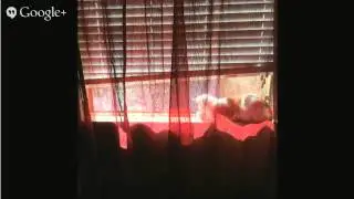 ABC Blinds Service, the largest manufacturer in top rated of indoor and outdoor blinds