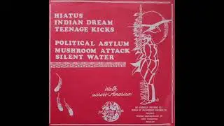 V/A- Walk Across America For Mother Earth (1992)