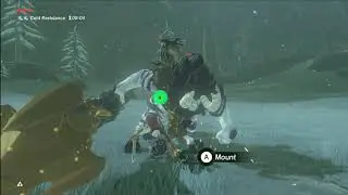 Highlight: BotW 3 heart challenge Master Mode