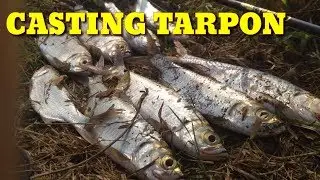 CASTING TARPON / IKAN BULAN BULAN