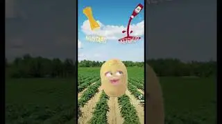 Silly Potato Choices