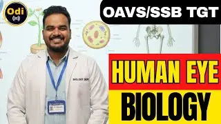 HUMAN EYE (Biology) LTR SSB TGT OAVS 🔥#ssb #ltr #rht #oavs