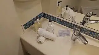 Ruby Princess Oceanview Stateroom P205 Tour