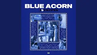 BlueAcorn