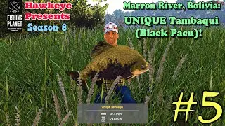 Fishing Planet #5 - S8 - Marron River, Bolivia: UNIQUE Tambaqui (Black Pacu)!