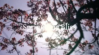 Springtime Bliss: A Relaxing Journey Through Nature's Renewal