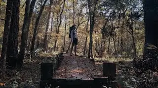 Solo Hiking 20 Miles on the Lone Star Trail