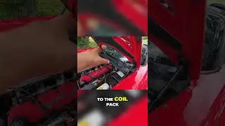 How to Replace Hood and Trunk Struts  Easy DIY Guide
