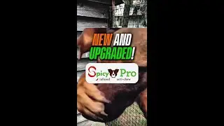 The Ultimate engineered Dog Fence kits ? Meet the Spicy Pro Poly by Pet Playgrounds
