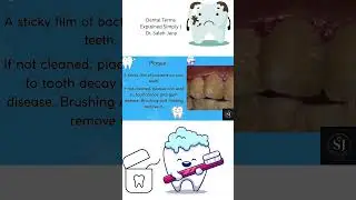 Dental Terms Explained Simply | Dr. Saleh Jany