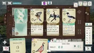 Wingspan - Facing Scotsword!