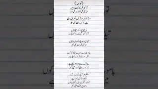 Toon Akbar Kul Kinayt Han Madi Kul Kinyat Ali Akbar | New Noha 2024 | Saraiki Noha Lyrics 2024