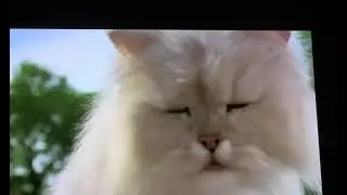 Stuart Little 2: George Doesn&rsquo;t Know Poop from Apple Sauce