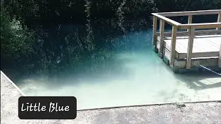 Blue Springs in Bronson Fl. No Odd Things Happening Here Just Beautifulness 🏊