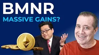 BMNR: Игра Тома Ли с Ethereum Treasury &mdash; как я торгую, получая огромную прибыль