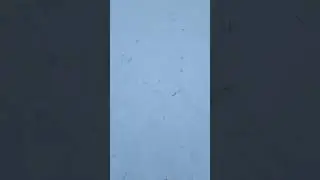 Катаемся в Цее