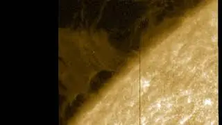 Prominence dynamics and cavities