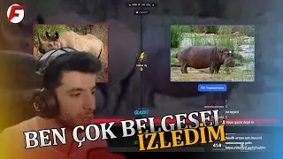 En Güçlü Hayvan Hangisi ? Förbır