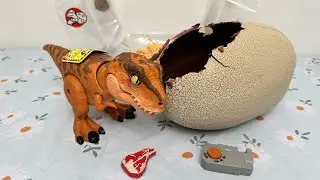 Jurassic World T-Rex Primal Hatch Toys Unboxing