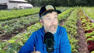 Crop Rotations in a Small Garden + Lettuce Diseases