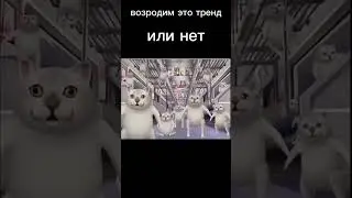 утс утс утс #мем #мемы #memes #прикол