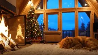 Tranquil Home 🏡 12 Hours Relaxing Music for Cats to Reduce Stress and Promote Sleep 💤