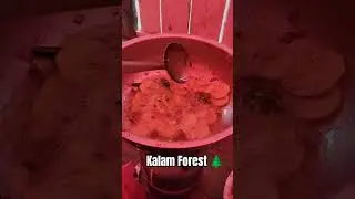 Pakorra in kalam Jungle #kalamforest #swat #pakistan #food #shorts #unfrez #mountains #short
