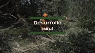 Dando fuerza al territorio y a las personas que viven en él