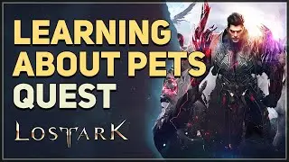 Learning about Pets Lost Ark