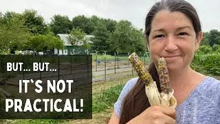 Planting FLOWERS and Pretty Corn - Super Chatty | Homestead VLOG