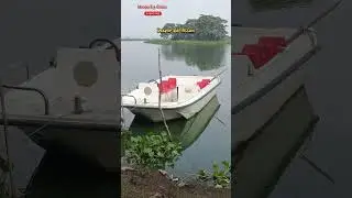 Deepor Bill Assam| The Lake in Assam | Beautiful Lake view Assam #tourism #assam #viralvideo #fun