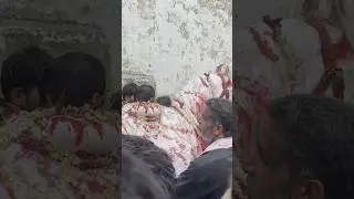 Zuljana 10 Moharram short video Taragarh Azadari