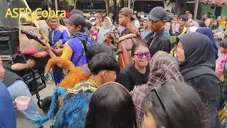 CAHAYA MUSTIKA LUGAY CML DI LOKASI KUDA LUMPING 