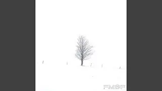 First Flakes