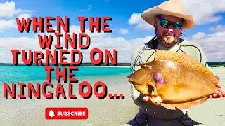 Ningaloo Coast Boat Trip Gone Wrong 🌬️ | Wind Change, Squid Fishing & Seafood Cook-Up EP 31
