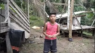 Wonen in het regenwoud van Costa Rica
