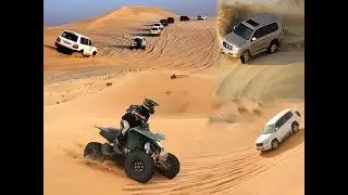 Desert Safari Qatar Doha | Qatar Desert Safari & Inland Sea | Adventurous Desert Safari | Trip2Watch