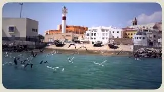 אלרן דקל - זמן