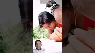 The bird is sitting on the woman's head.  #comedyhypnotis #youmademerealise #satiricalcomedy #junky
